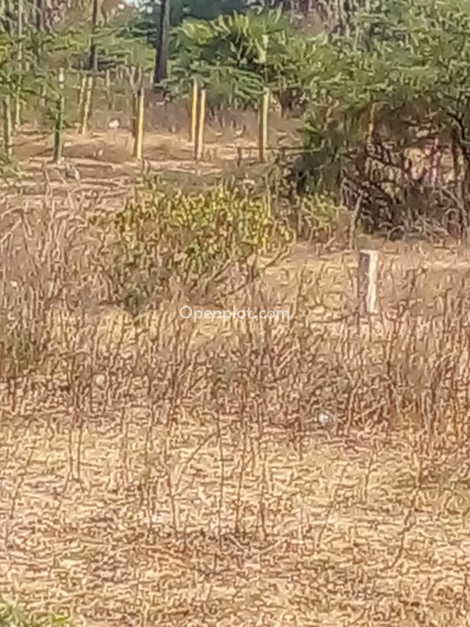 Land for Sale in Alir,Yadadri Bhuvanagiri